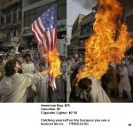 priceless dumb terrorist.jpg