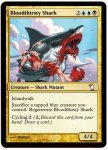 BloodthirstyShark.jpg